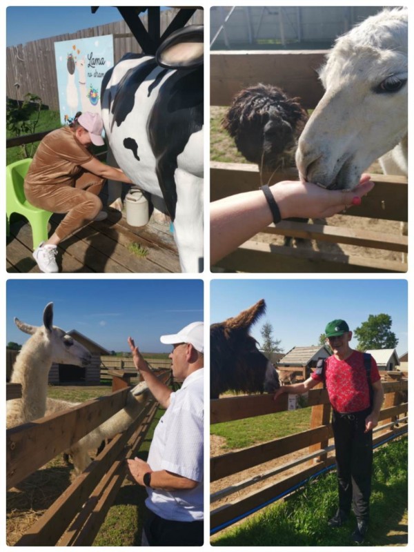 Wycieczka w Donkeyszot Mini ZOO w Rogozinie -