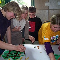 VI Biennale Wiedzy Ekologicznej