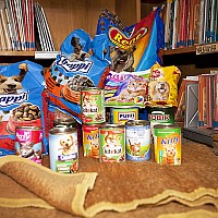 „Pomóżmy zwierzętom przetrwać zimę”