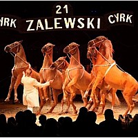 Cyrk Zalewski w Goleniowie!