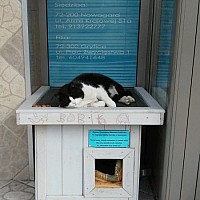 Miejska i Powiatowa Biblioteka Publiczna w Goleniowie zebrała 749 kg plastikowych nakrętek