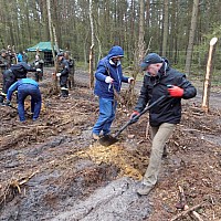 1000 drzew na minutę