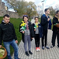 Akcja ,,Żonkile 2017