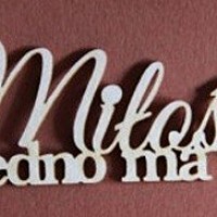 II  WOJEWÓDZKA KONFERENCJA POD TYTUŁEM „MIŁOŚĆ NIE JEDNO MA IMIĘ”