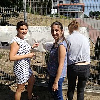 31 MAJA  ŚWIATOWY DZIEŃ BEZ TYTONIU