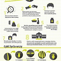 Stanowisko Głównego Inspektora Sanitarnego dotyczące profilaktyki i zwalczania wszawicy  u dzieci i młodzieży 
