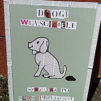 Konkurs „Pies nie kończy się na smyczy” z udziałem uczniów z ZSS Goleniów