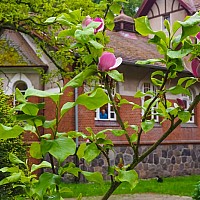 Dyrektor Domu Pomocy Społecznej w Nowogardzie informuje, że poszukuje kandydatów do pracy