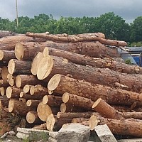 ZAPROSZENIE do składania ofert 