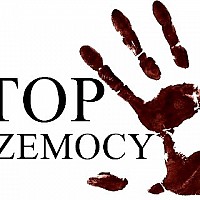  Informacja o dostępnych formach wsparcia instytucjonalnego w sytuacji kryzysu w rodzinie