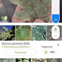 „Poznaj Goleniów z apkami” nowa inicjatywa Zespołu Szkół Specjalnych w Goleniowie